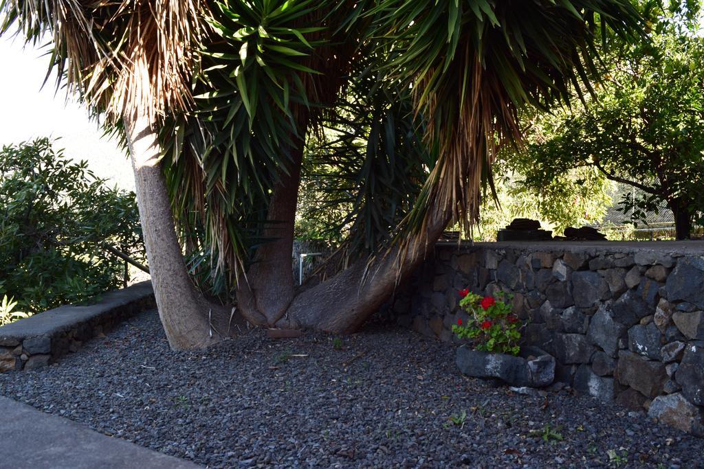 Casa Rural Olga El Paso Dış mekan fotoğraf